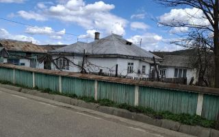 Casă tradițională din cărămidă cu anexe și teren 5000 mp, Dumbrava, com. Lespezi - Poză 1