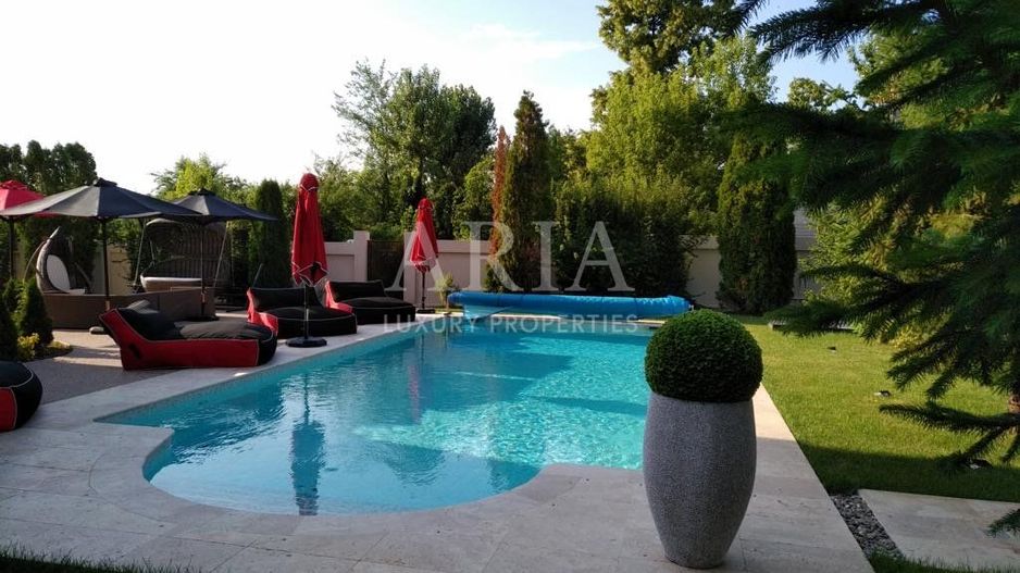 VILA SNAGOV WATERFRONT - PISCINA - PONTON 40M DESCHIDERE LA LAC - Poză 3
