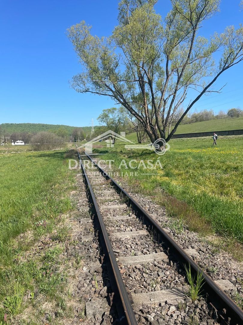 Teren intravilan 8900 mp-Sacadat-Sovata - Poză 5
