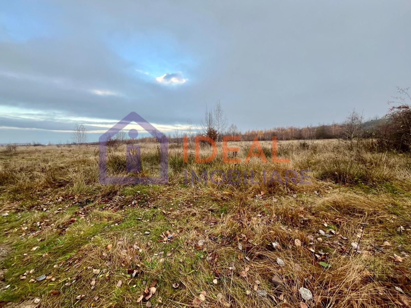 Teren extravilan 6.500 mp – două căi de acces, Cârțișoara - Poză 5