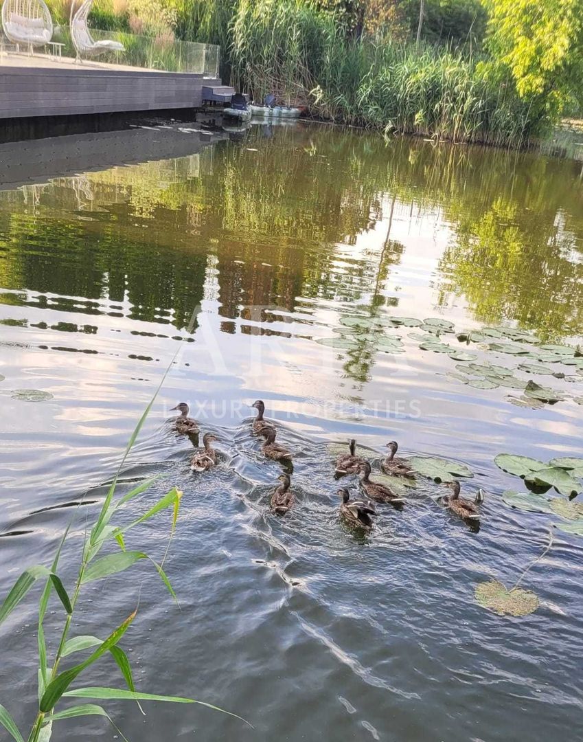 VILA PONTON | LAC Snagov - Poză 7