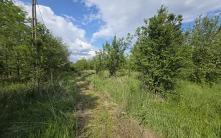 De Vânzare Casă Valea Vinului - Poză 14