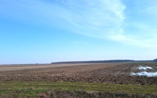 0% Comision - VanzareTeren Petresti Dambovita - Investitie - Poză 4