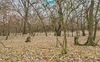 Teren pe malul Mureșului- oportunități multiple - Poză 28