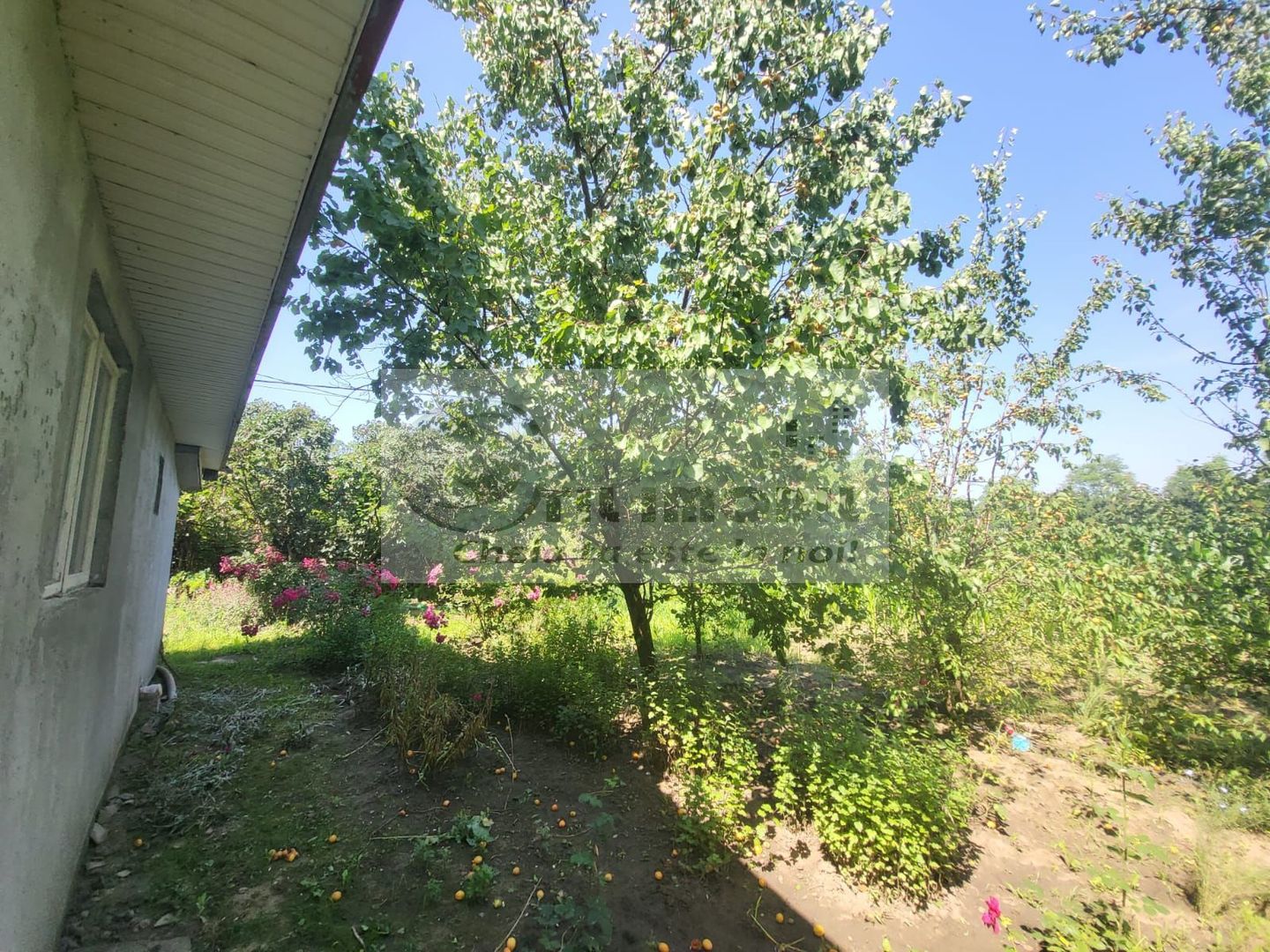 Casă individuala 4000mp teren com Alexandru Ioan Cuza sat Kogalniceni - Poză 6