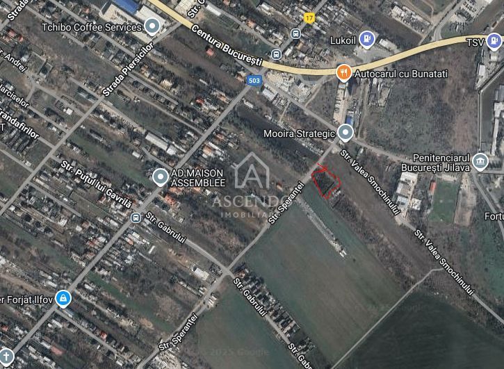 Teren Intravilan 3.000 mp Jilava  Investiție sau Rezidențial - Poză 1