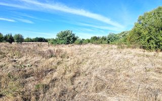 Teren de vânzare – 11.273 mp – zona Plopi, Timișoara Sud. - Poză 1