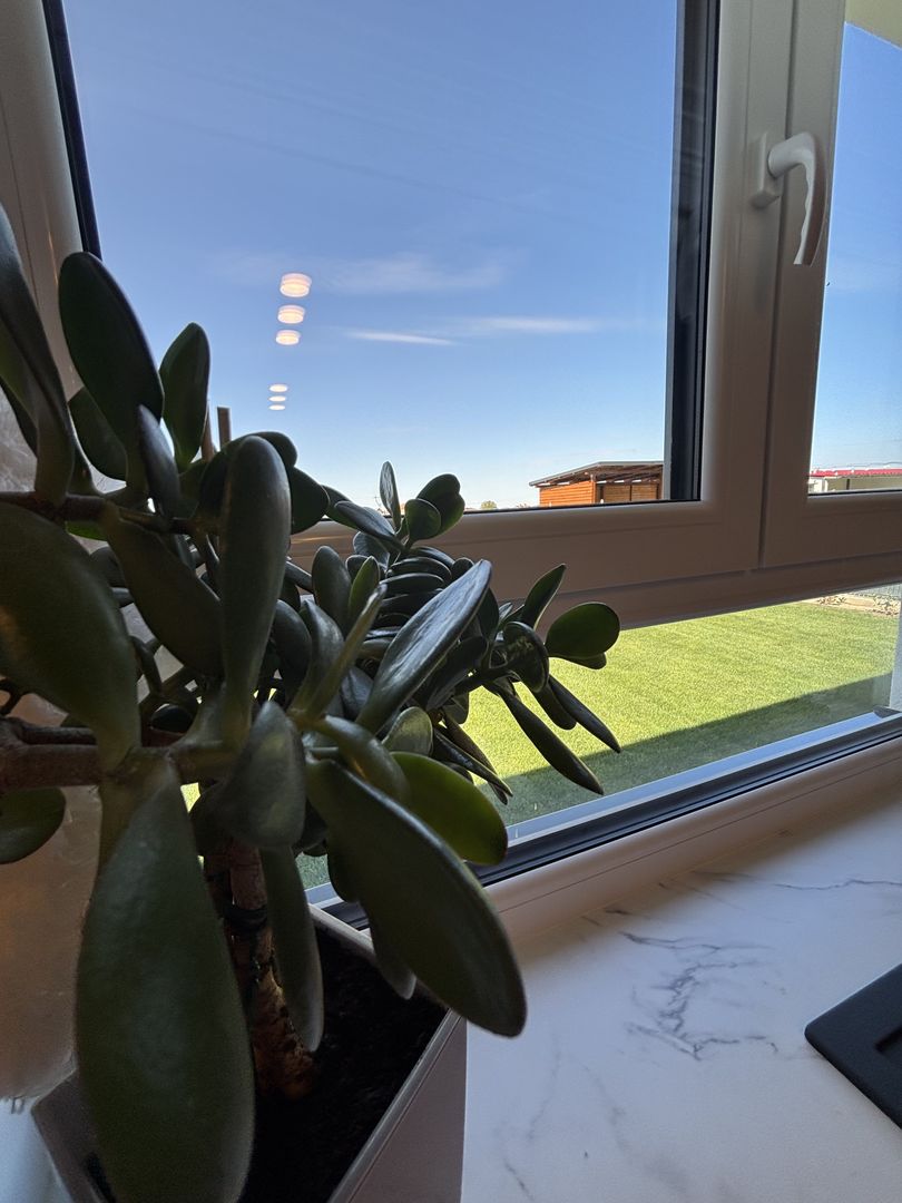 Lux și calitate în Mosnita Noua - Poză 24