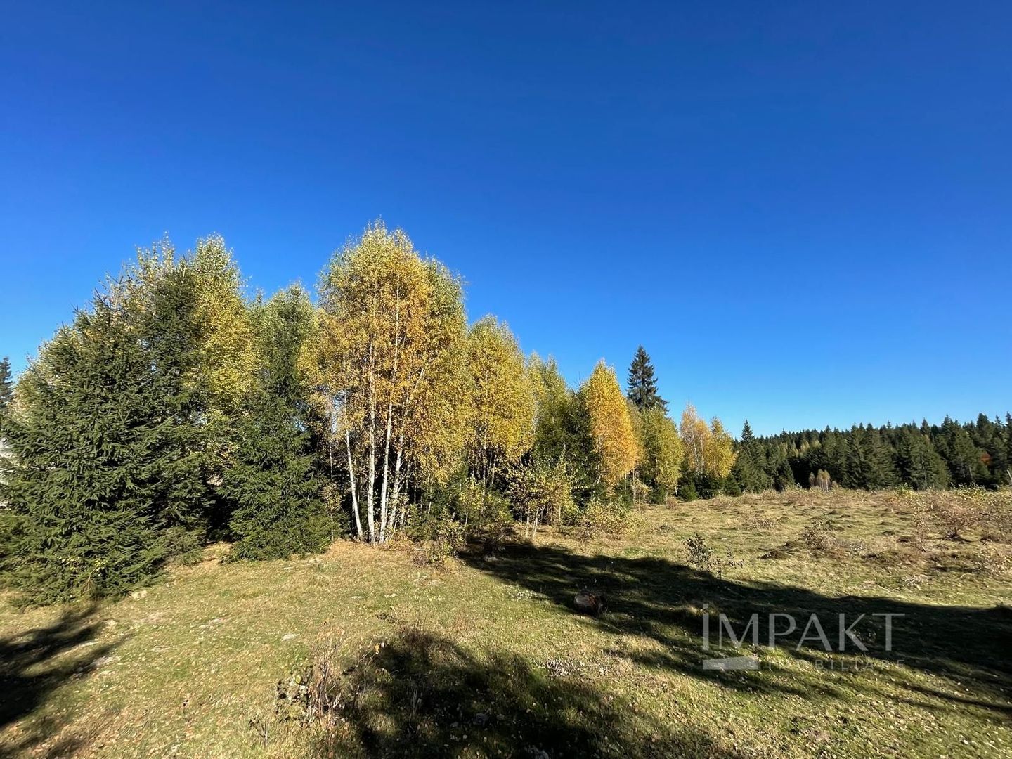 Teren intravilan de 2001 mp în Calatele Padure, comuna Calatele! - Poză 3