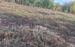 Terenuri intravilane în Horlești-Rediu, Iași, zone rezidențiale - Poză 2