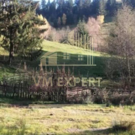 TEREN INTRAVILAN 4195 MP, LERESTI, ARGES - Poză 1