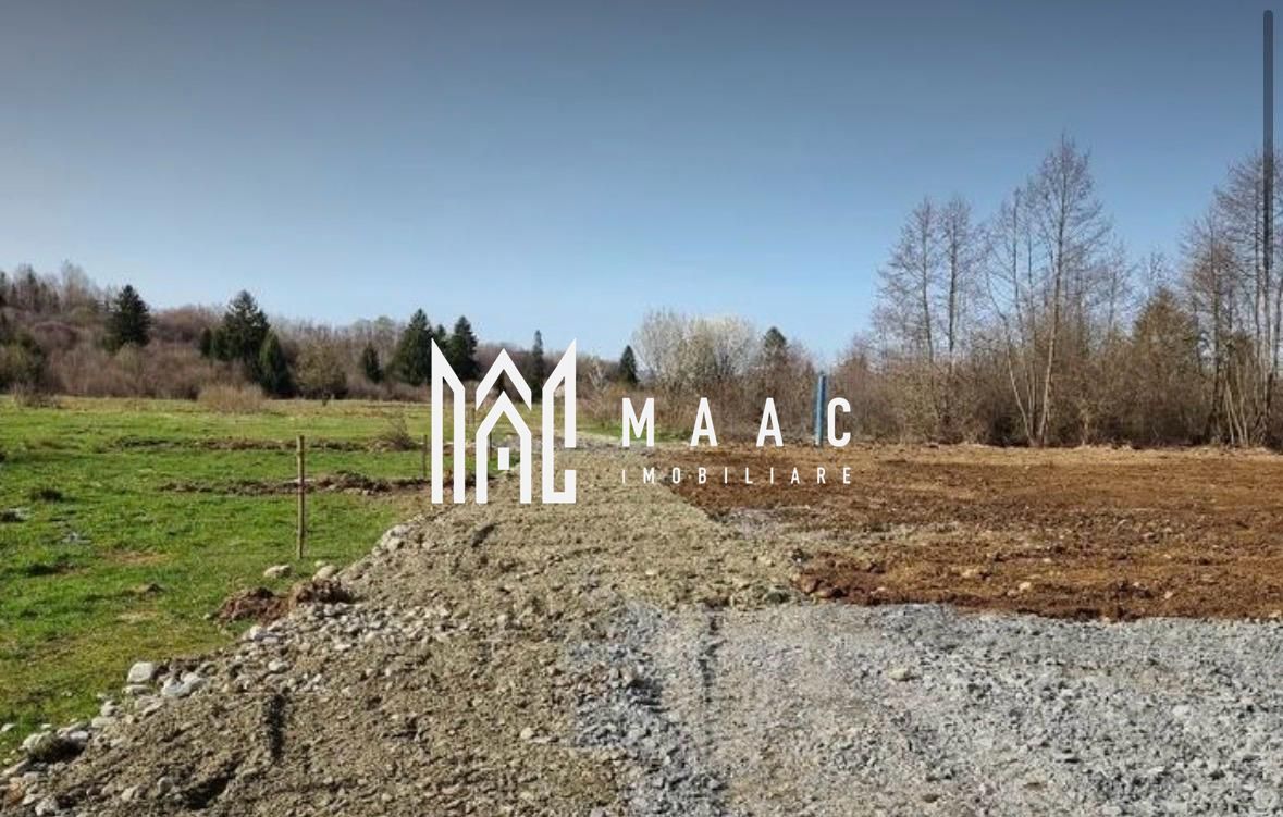 TEREN INTRAVILAN 4007 MP I VALEA AVRIGULUI - Poză 2