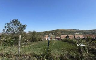 Teren Intravilan | 1230 MP | 2 Parcele | Utilitati | Pauca - Poză 1