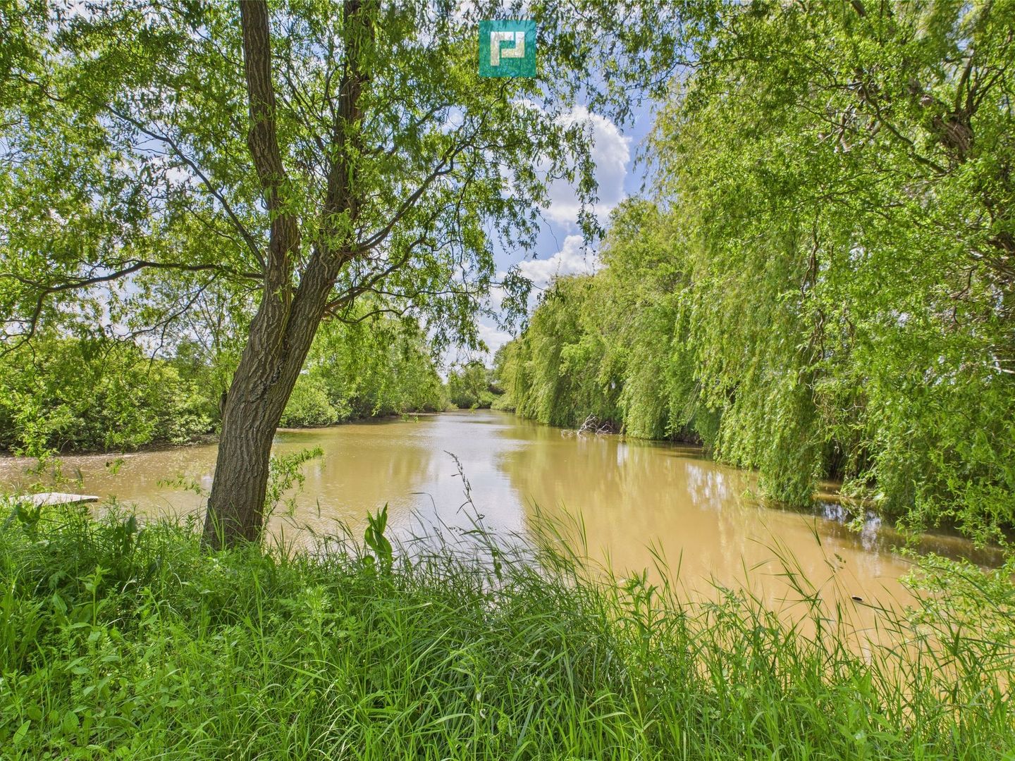 Teren cu baltă- oportunități multiple la Fibiș - Poză 9