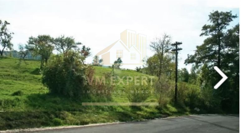 TEREN 2530 MP, INTRAVILAN, CAMPULUNG, 37000 EURO - Poză 4