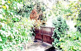 Casa 5 camere, D+P+M, ultracentral, zona deosebita, Campina, Prahova - Poză 6