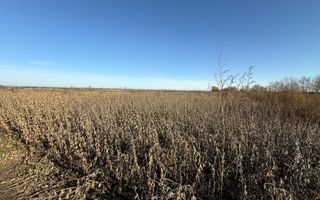 TEREN EXTRAVILAN | 35 ARI | HORODNIC DE JOS | - Poză 10