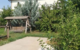 De vanzare teren 562mp + foisor si beci, Bragadiru - Poză 6