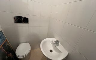 Un refugiu luminos în inima verde a Iancu Nicolae - Poză 6