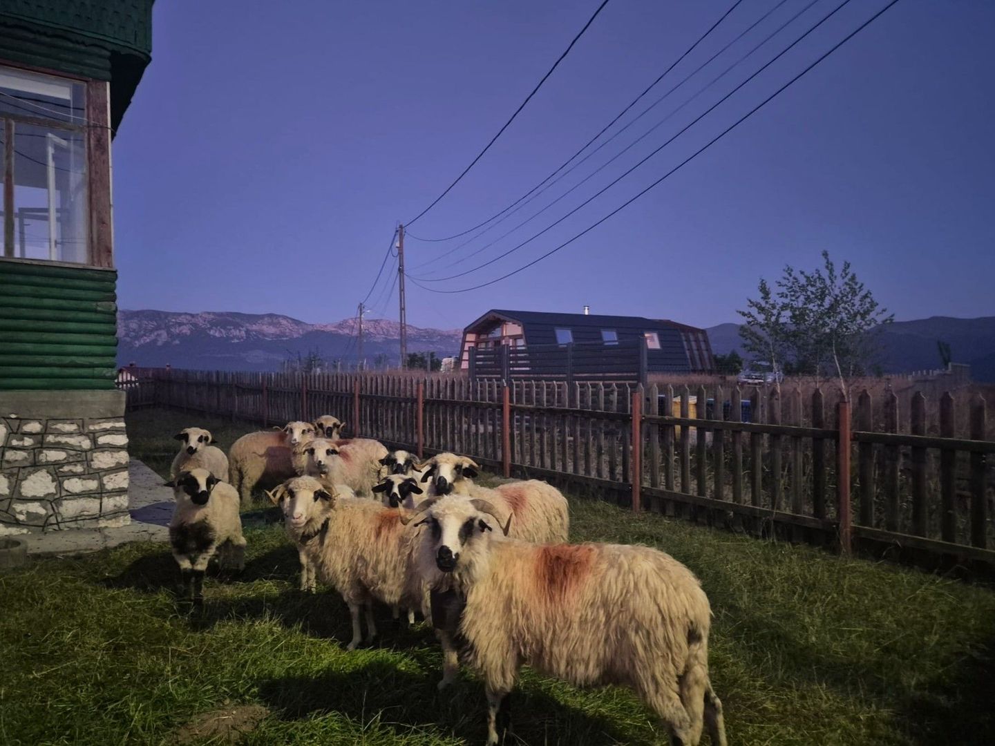 Exclusivitate- Casă rustică de închiriat în Fundata – Priveliște spectaculoasă - Poză 25