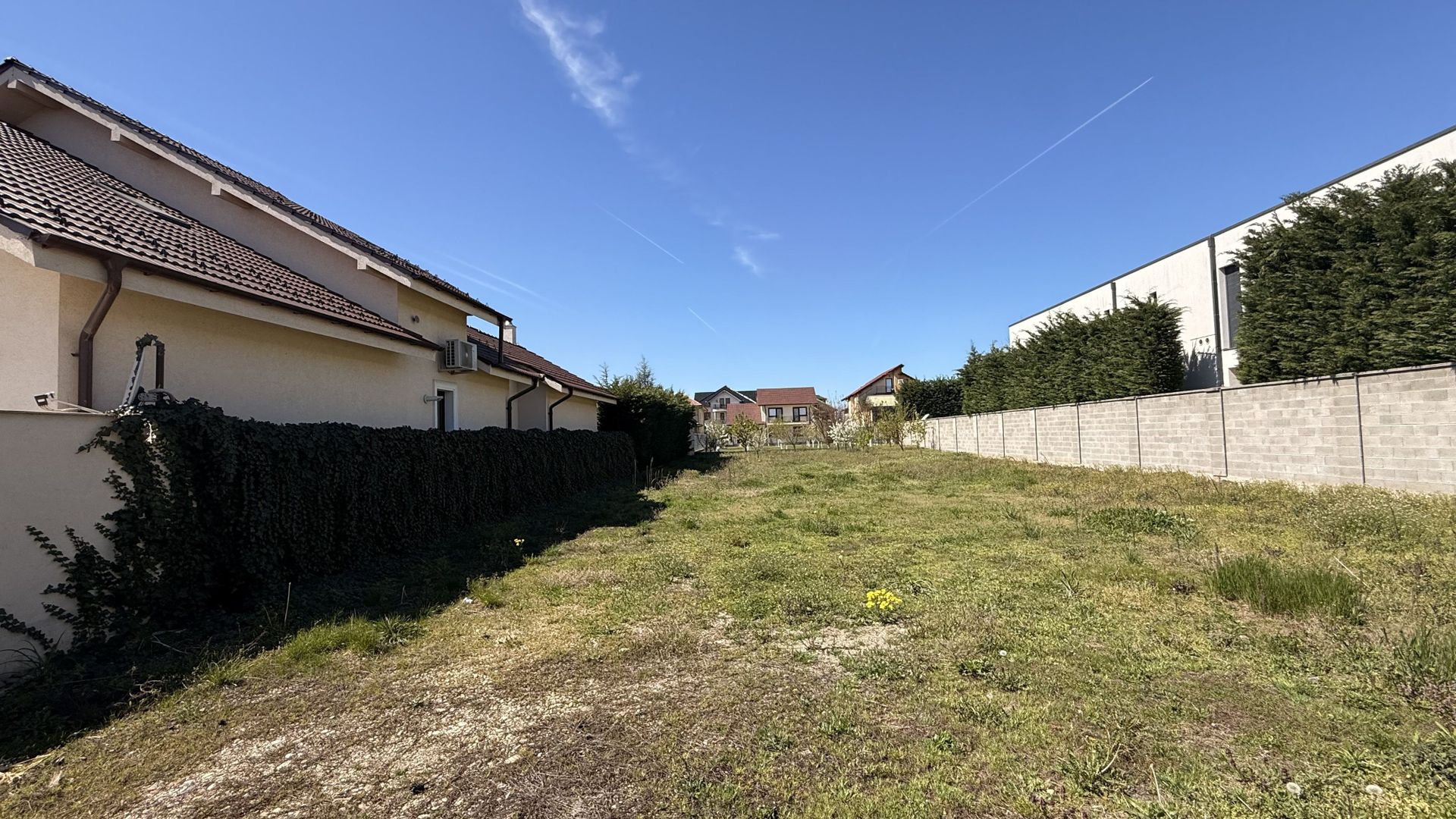 Comision 0% Teren de vânzare – 980 mp – Dumbrăvița toate utilitățile - Poză 3