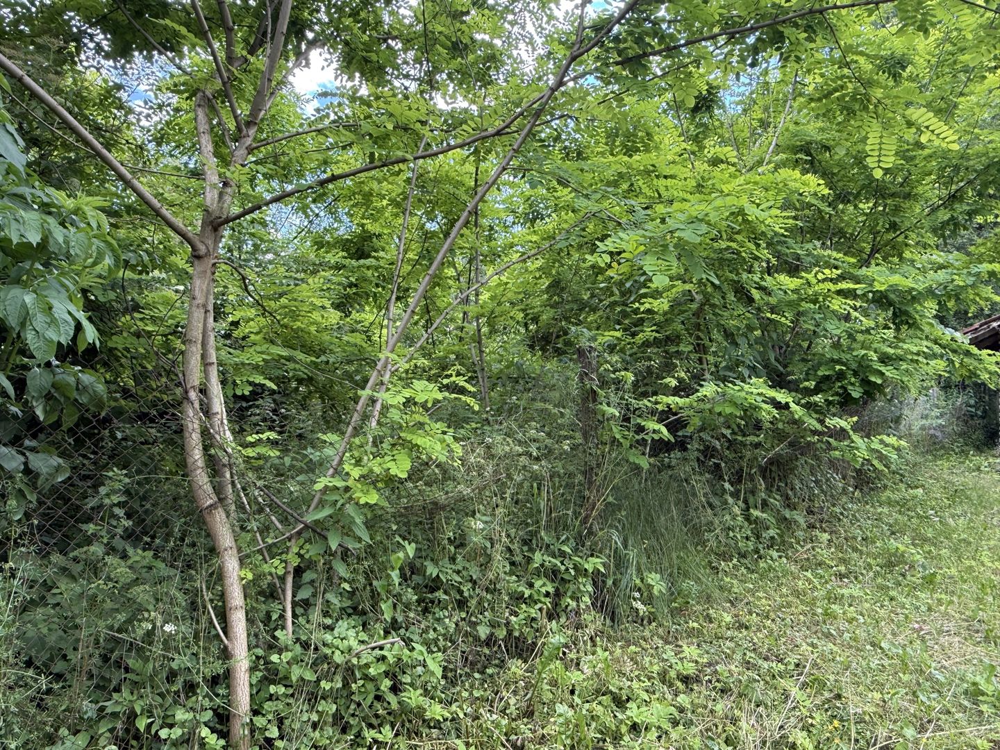 Teren intravilan 683 mp deschidere la strada asfaltata ! - Poză 15