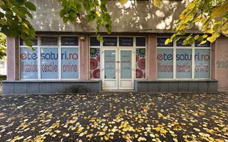 Spatiu comercial Calea Aradului - Poză 16