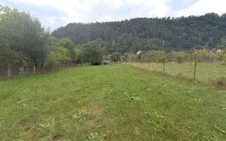 CASĂ 6 CAMERE TEREN 5736 MP LEREȘTI VOINEȘTI ARGEȘ - Poză 24