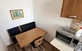 se accepta muncitori Iosefin| 2 dormitoare| centrala proprie| camere inalte| - Poză 12