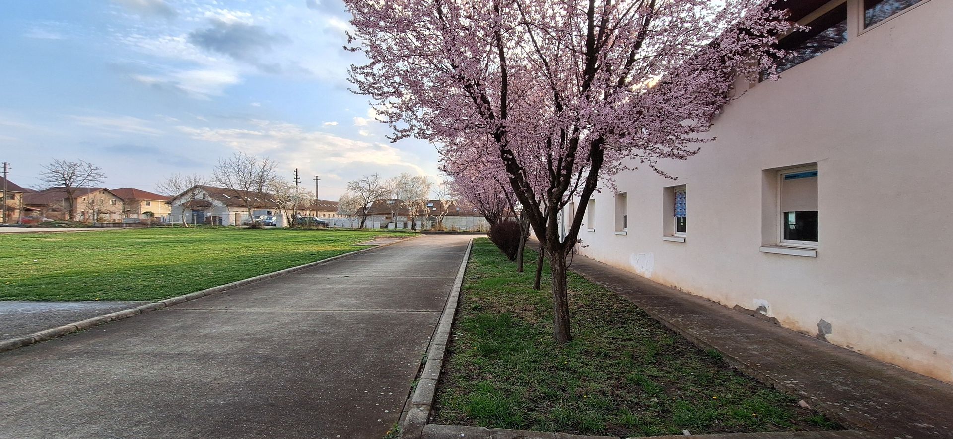 HALE de inchiriat - productie/depozitare/birouri - Poză 29