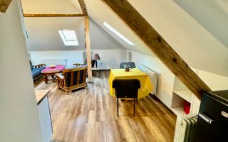 Elisabetin-Casa P+E-Garaj - Poză 34