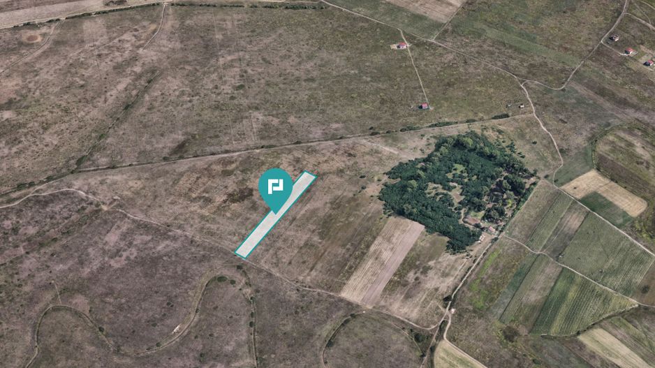 Teren extravilan de 10.000 mp - Poză 5