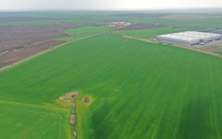 Teren industrial Dudestii Noi - Poză 4