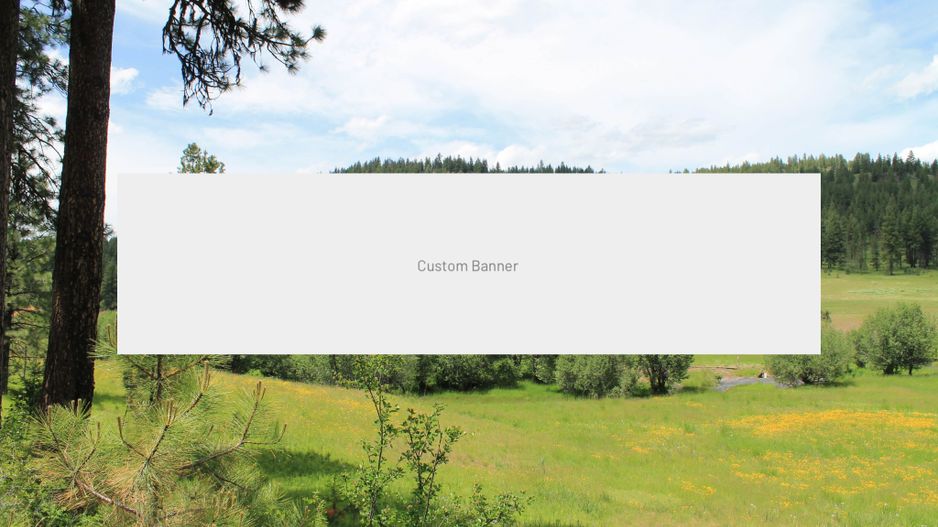 Teren de vanzare intravilan c - Poză 1