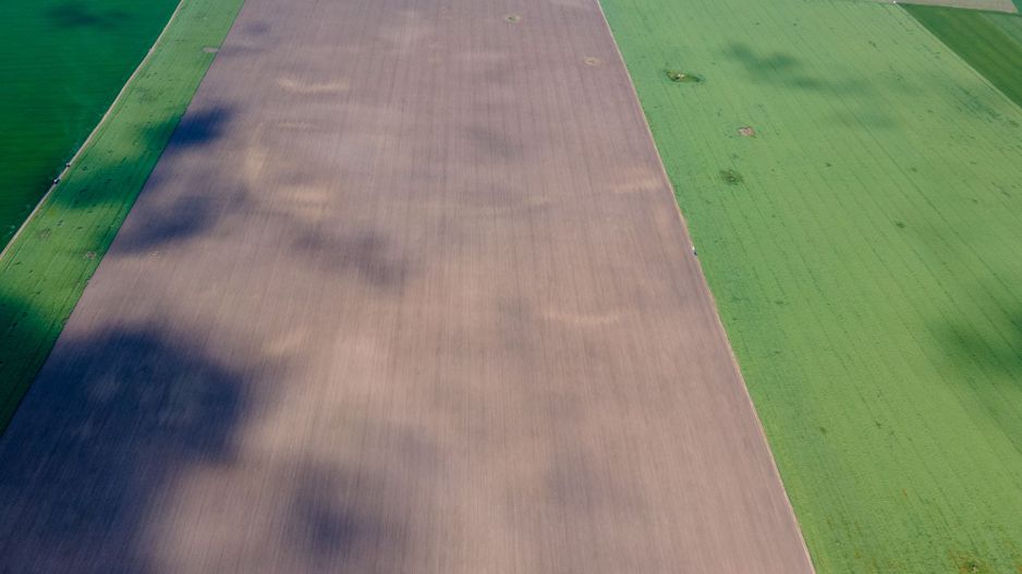 Teren de 5Ha în Satchinez. - Poză 4