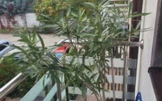 De vanzare casa triplex P+1+Pod, Bragadiru - Poză 10