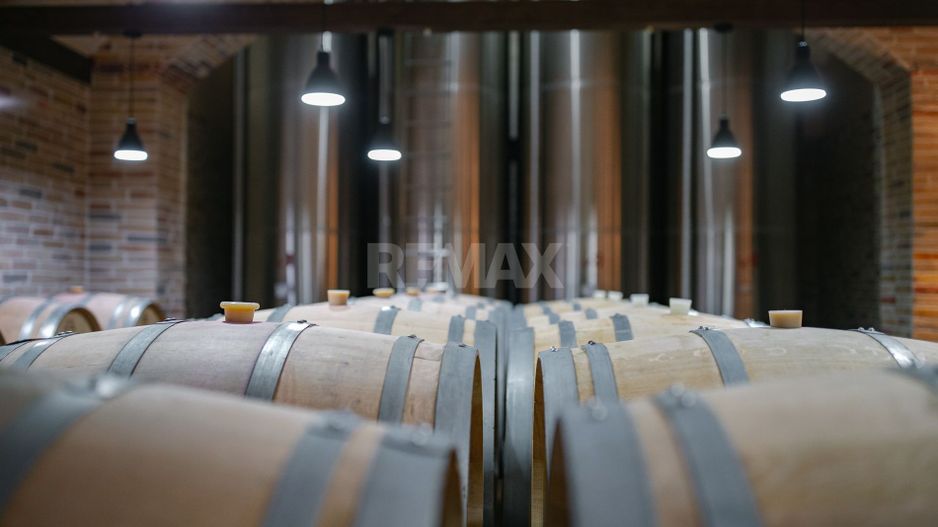 Complex Vitivinicol de Referință în Sudul Moldovei | 206 ha teren agricol | Investiție strategică - Poză 4