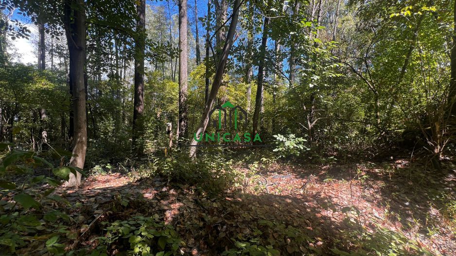 Teren zona Nord/ 6000 mp - Poză 2