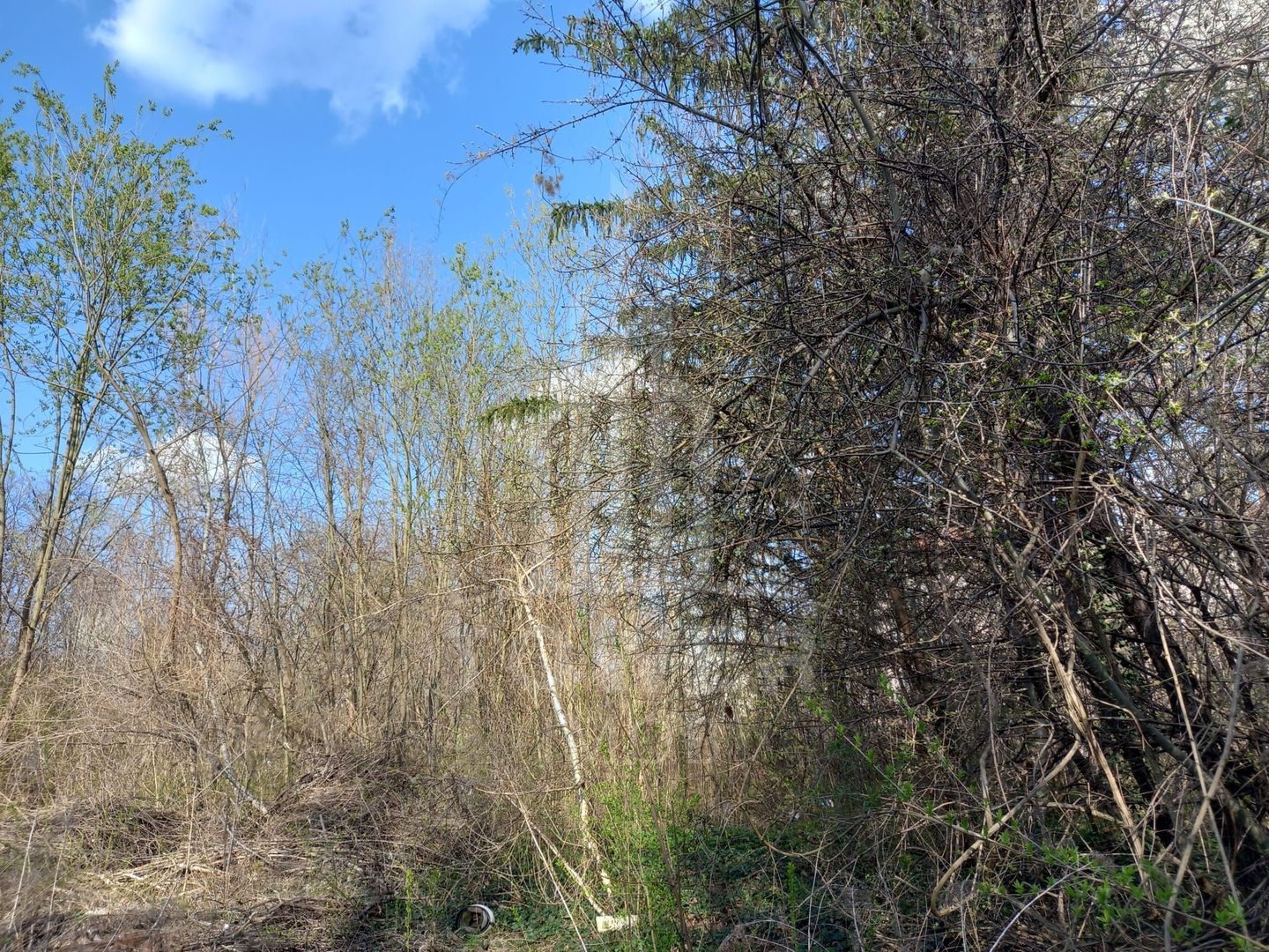 Teren Intravilan 5.147mp | Zonă rezidențială | B-dul Victoriei - Poză 4