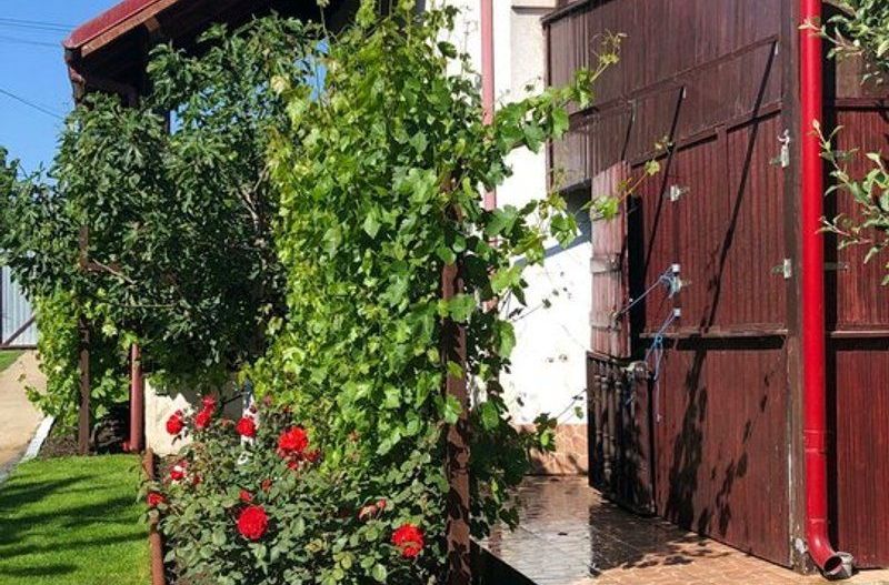 Vila - parter + mansarda -   Sendreni,  jud. Galati - Poză 5