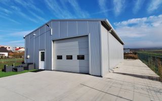 Hala de vanzare in Racarii de Jos - Poză 4