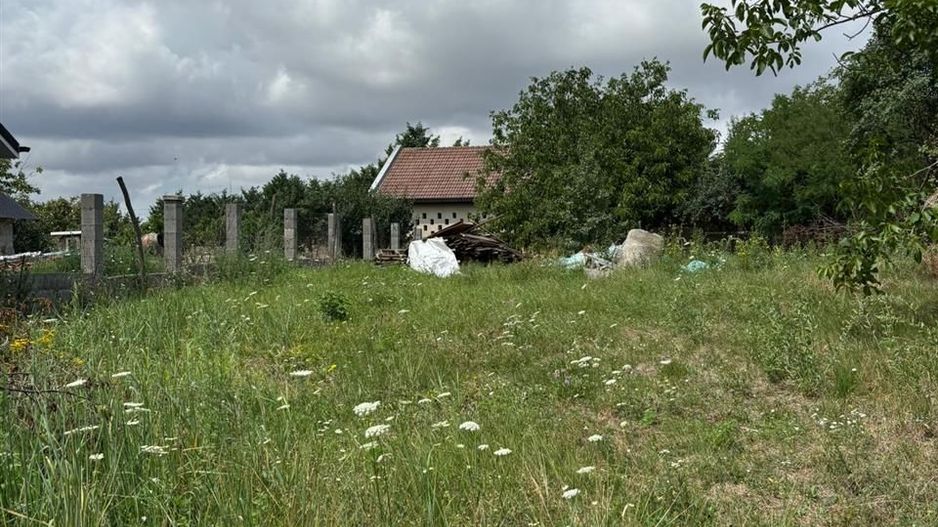 Teren intravilan in centru Paleu - Poză 2