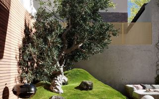 Apartament de 4 camere foarte luminos cu 3 terase - Domenii - Poză 16