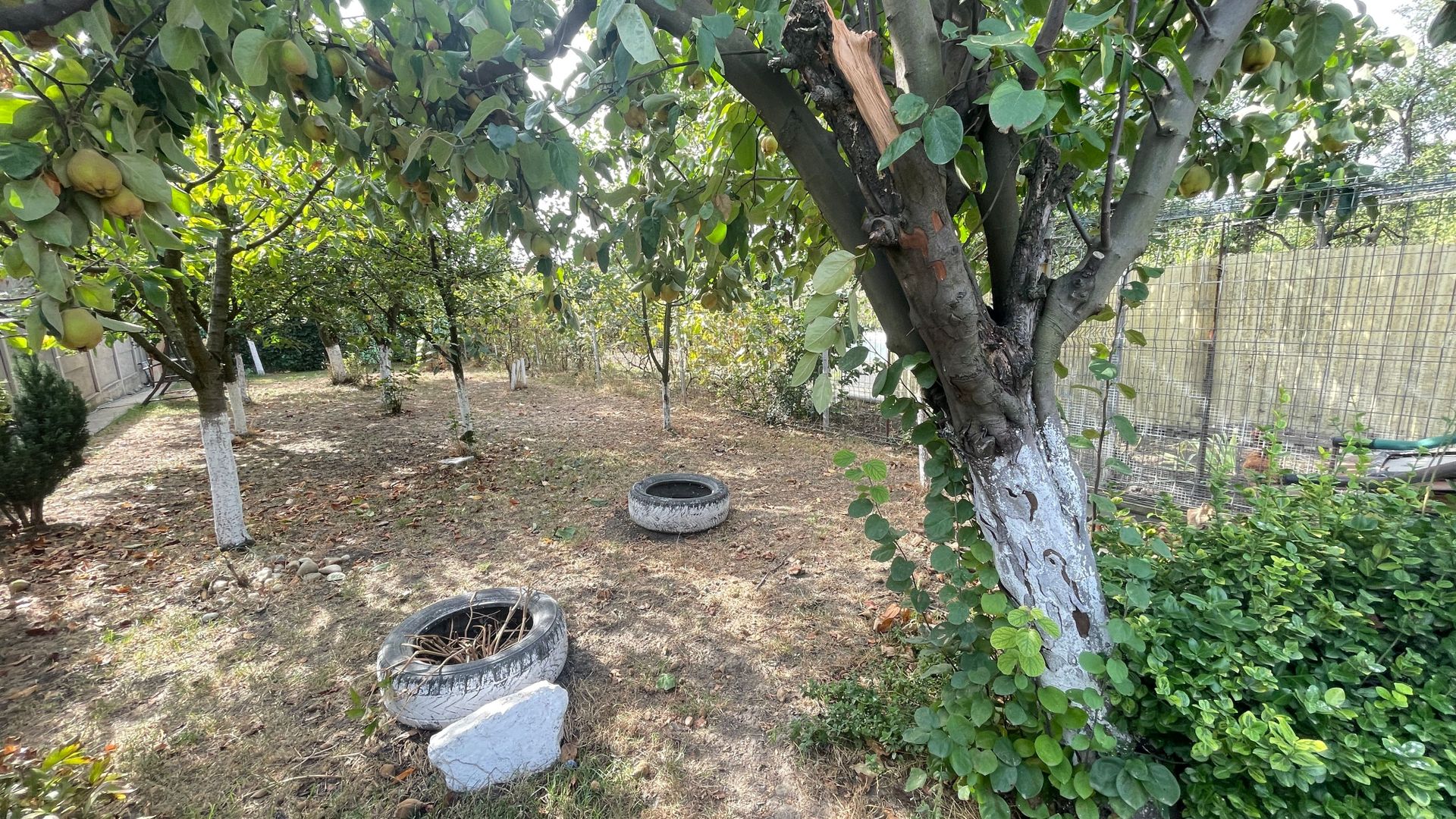 Casa de vanzare zona Bogdanesti - Poză 2