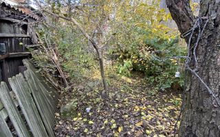 Casa Individuala | 3 minute de centrul Radautului - Poză 7