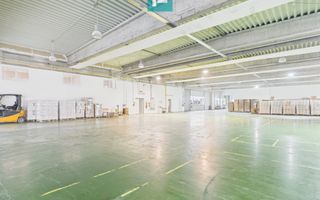 Hală industrială de 4.155 mp Calea Borșului - Poză 10