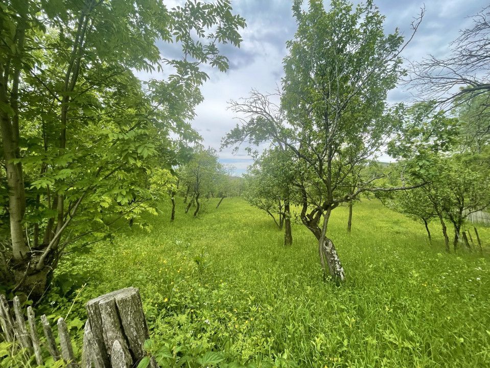 Teren intravilan Sotrile 6762 mp – Investitie, camping, agroturism - Poză 1