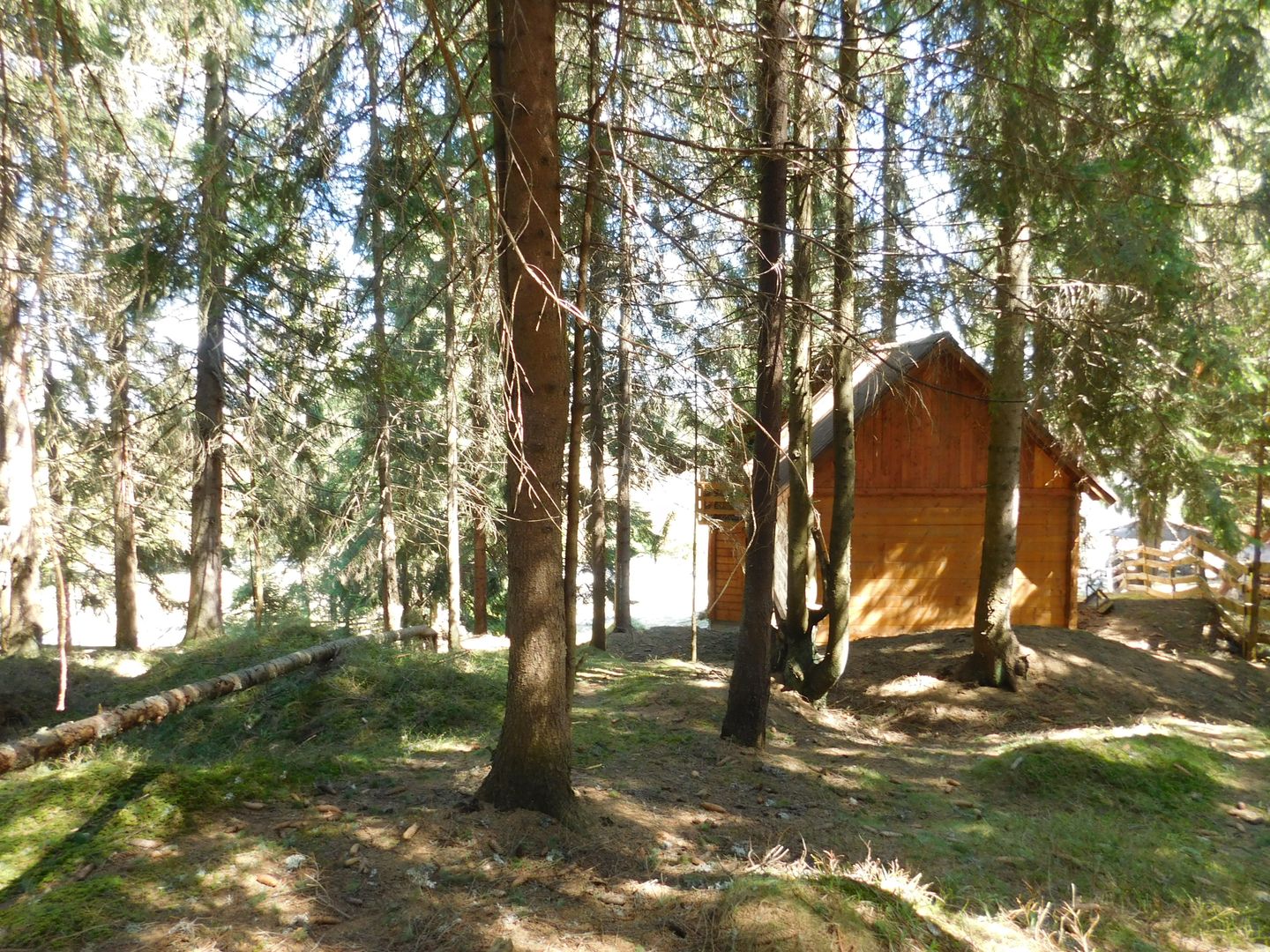 Casă de vacanta de vanzare, in Marisel, langa Cabana Motilor - Poză 53