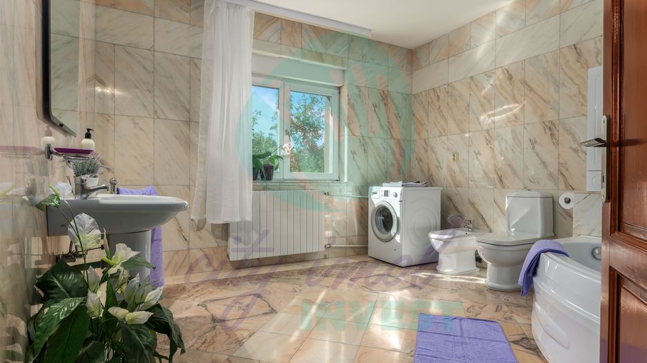 Vilă spațioasă cu curte superbă lângă Parcul Circului - Poză 14