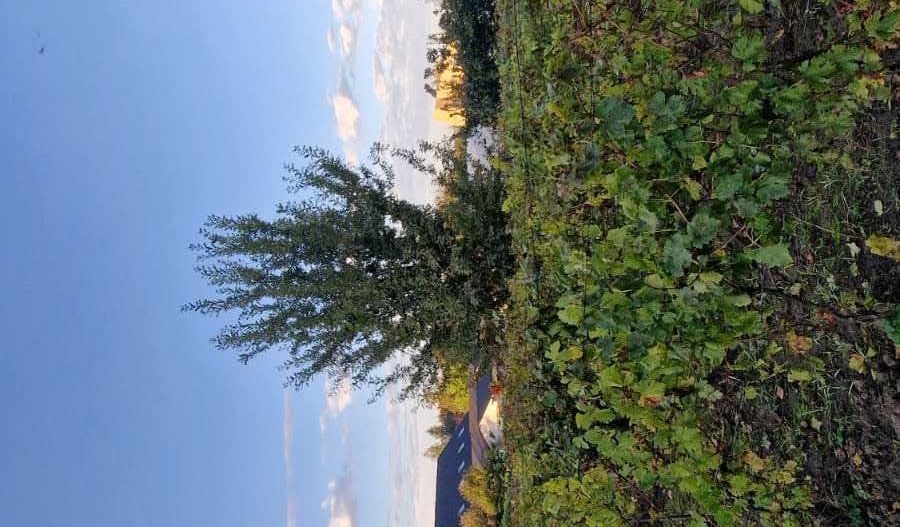 Casa de Vinzare mobilata gata de mutat - Poză 6